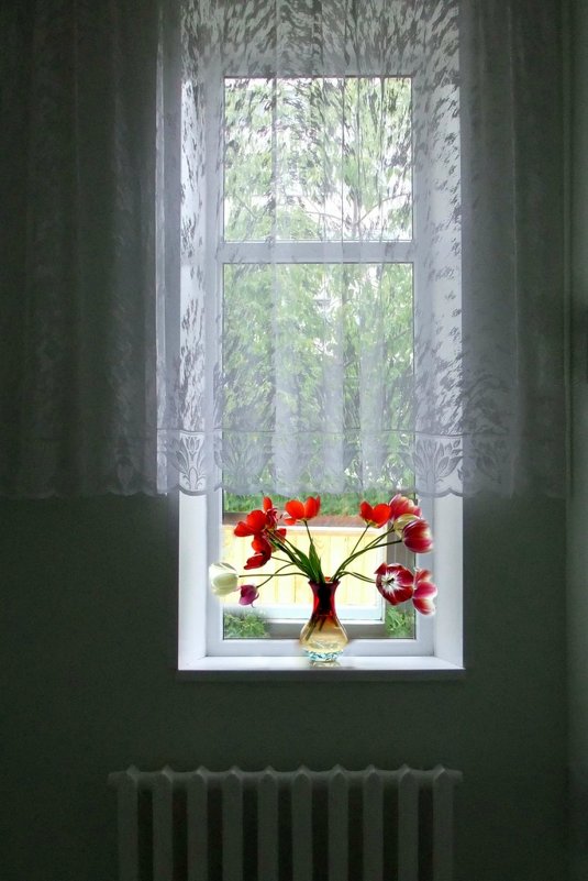 Тюльпаны на окне - Евгений Дубовцев