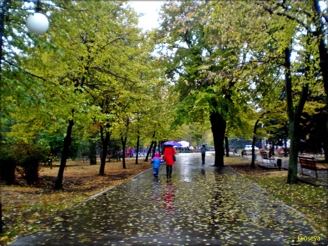 Дождь в Мариуполе - Татьяна Пальчикова