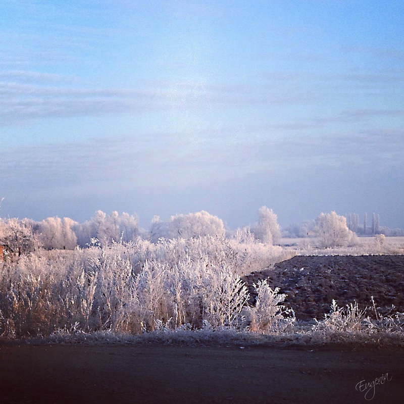 Прекрасное время года - зима - Евгения Голубцова