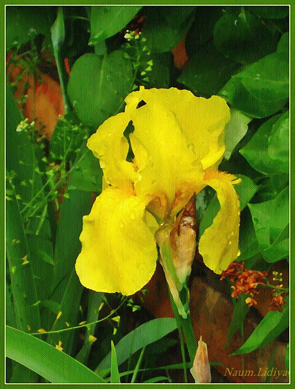 Рисую желтой краской - Лидия (naum.lidiya)
