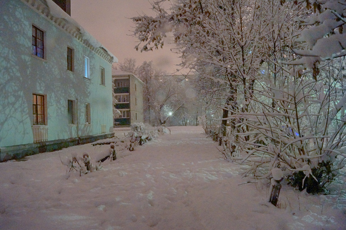 Ночной снегопад - Роман Прокофьев