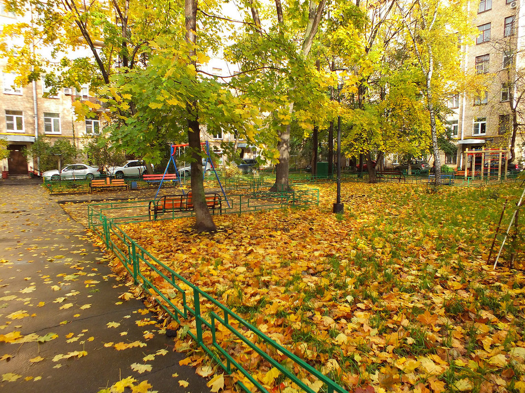 очарование осени - Лилия Дубчак