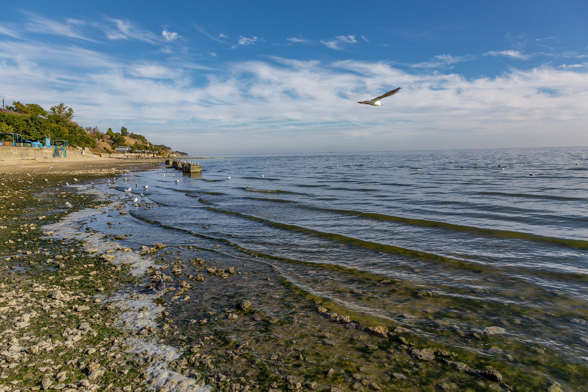 Приморский парк Таганрога город Таганрог