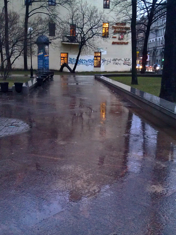 Дождь по асфальту рекою струится... - Валентина Харламова