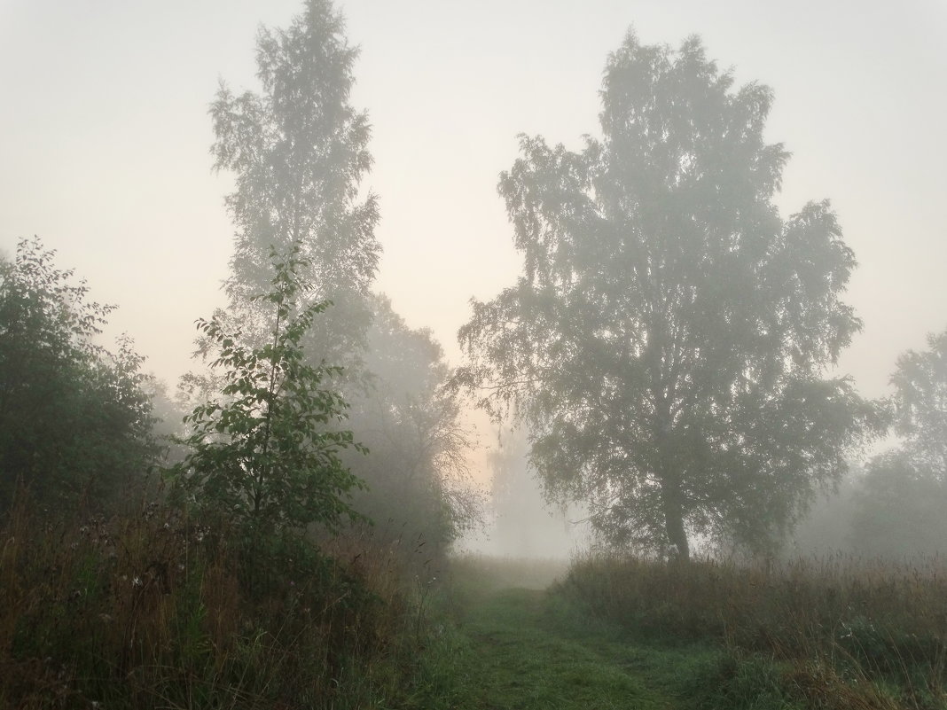 Утренний туман... - Владимир Гилясев