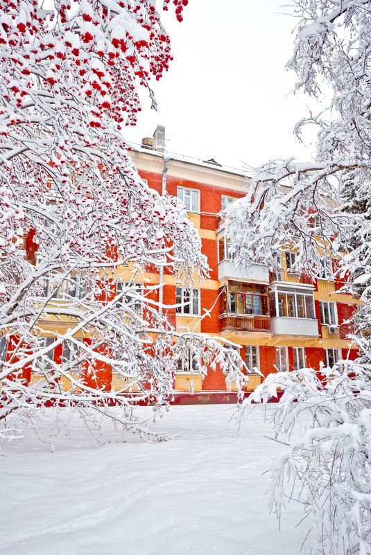 Заснеженный Академгородок - Оксана Арискина