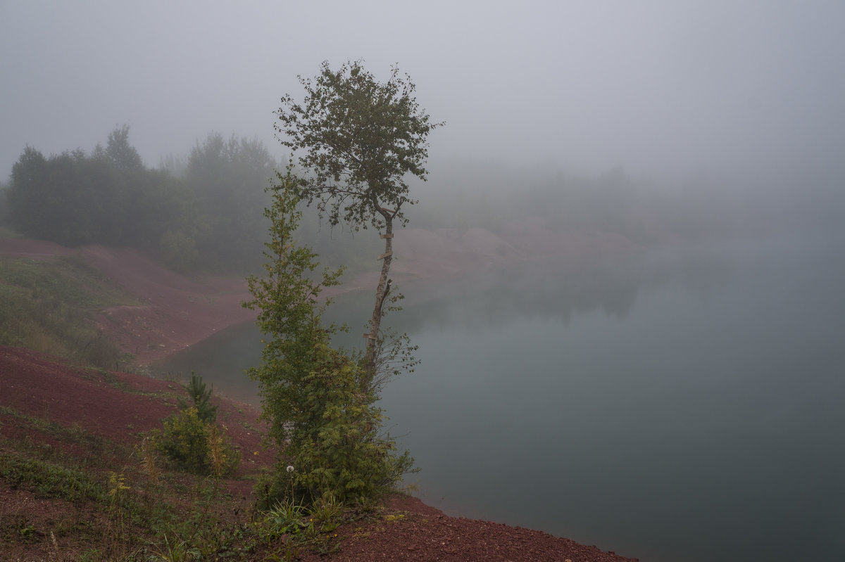 Над озером туман - Анатолий 