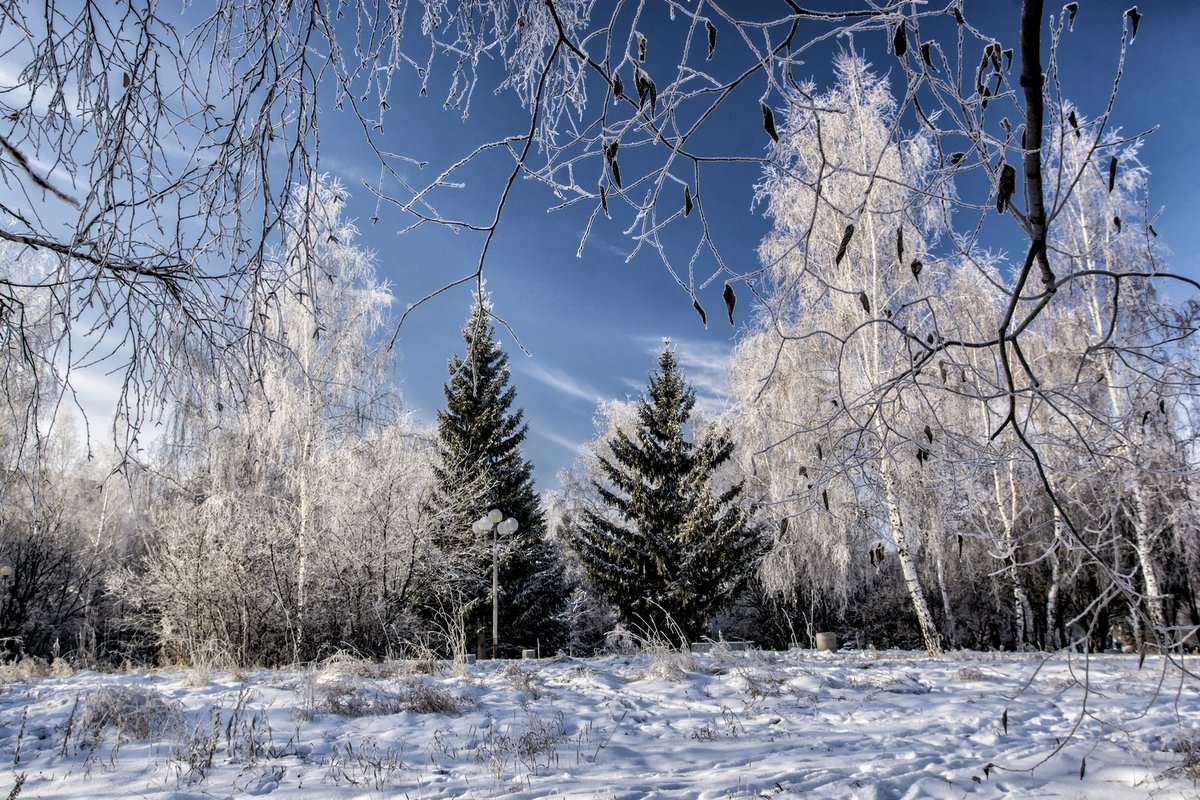 winter pattern - Dmitry Ozersky