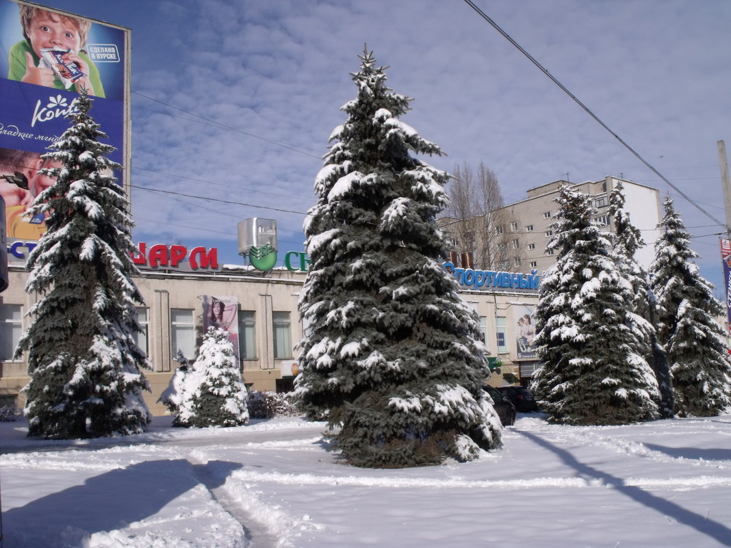 Зима 2015 - Анатолий Бугаев