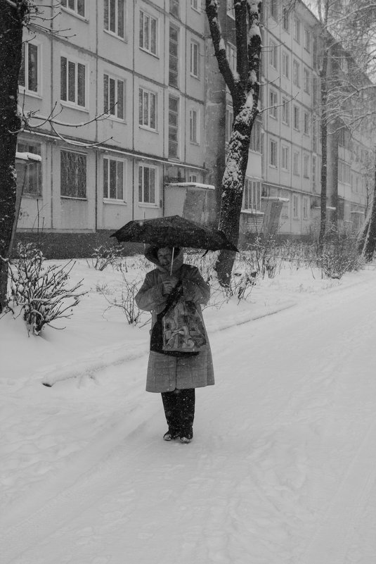 Падал первый снег - Елена Миронова