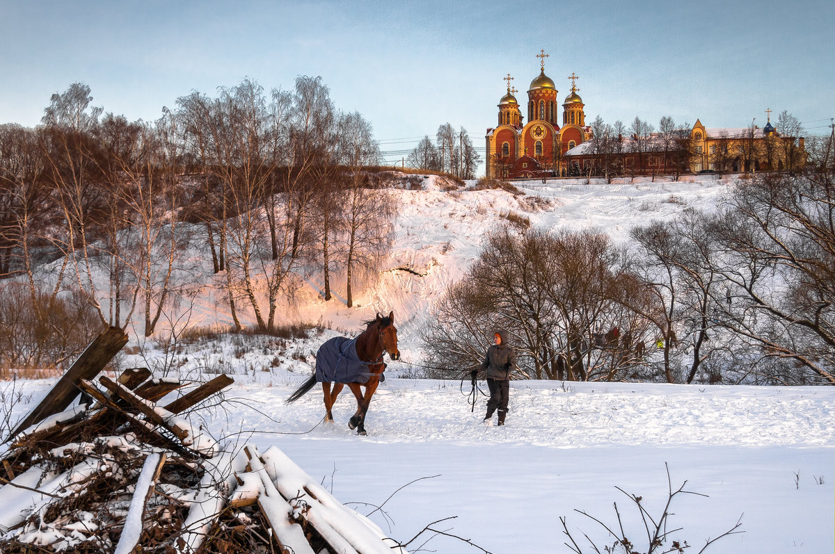 С лошадью в руках - Анна Санжарова