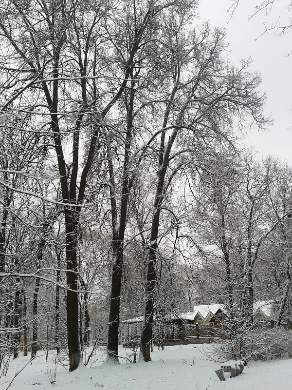 *** - Валентина Береснева