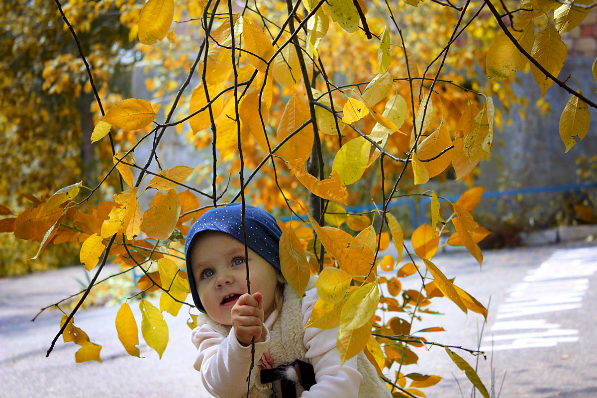 Осень золотая - Риша Сафиулина