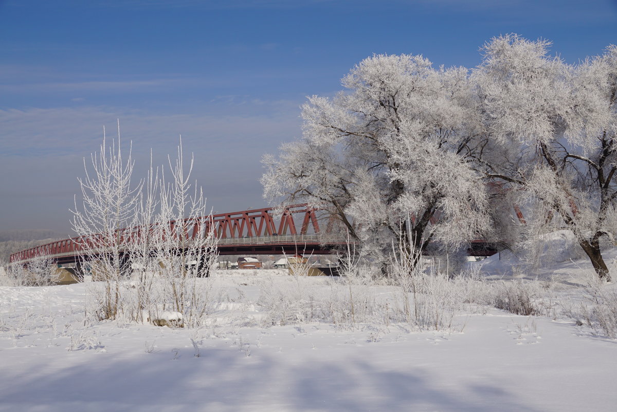 Мост в Зиму - Наталия Григорьева