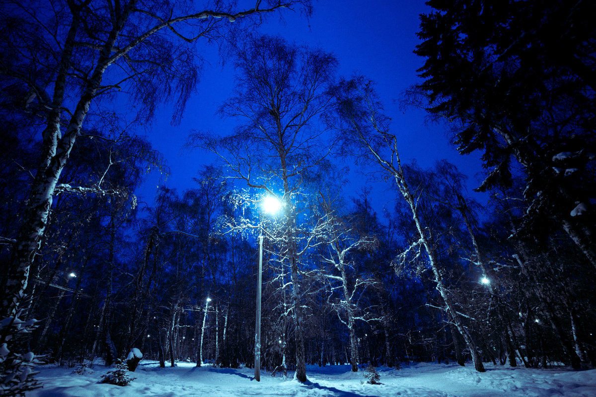 Зимний парк вечером - Павел Крутенко