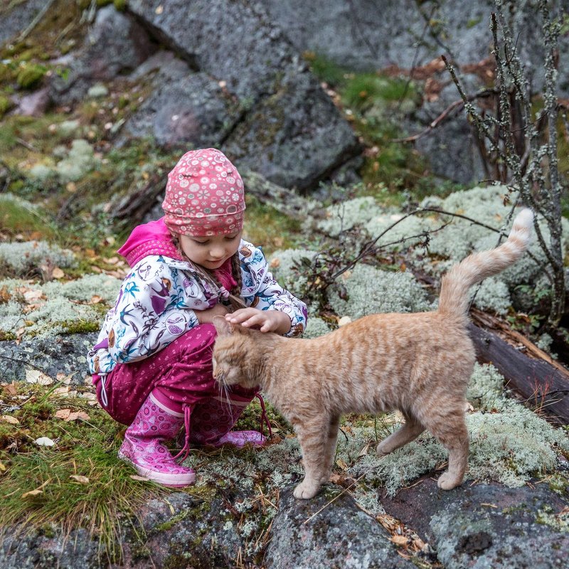 Девочка и кот. Встреча в лесу. - Алиса Колпакова
