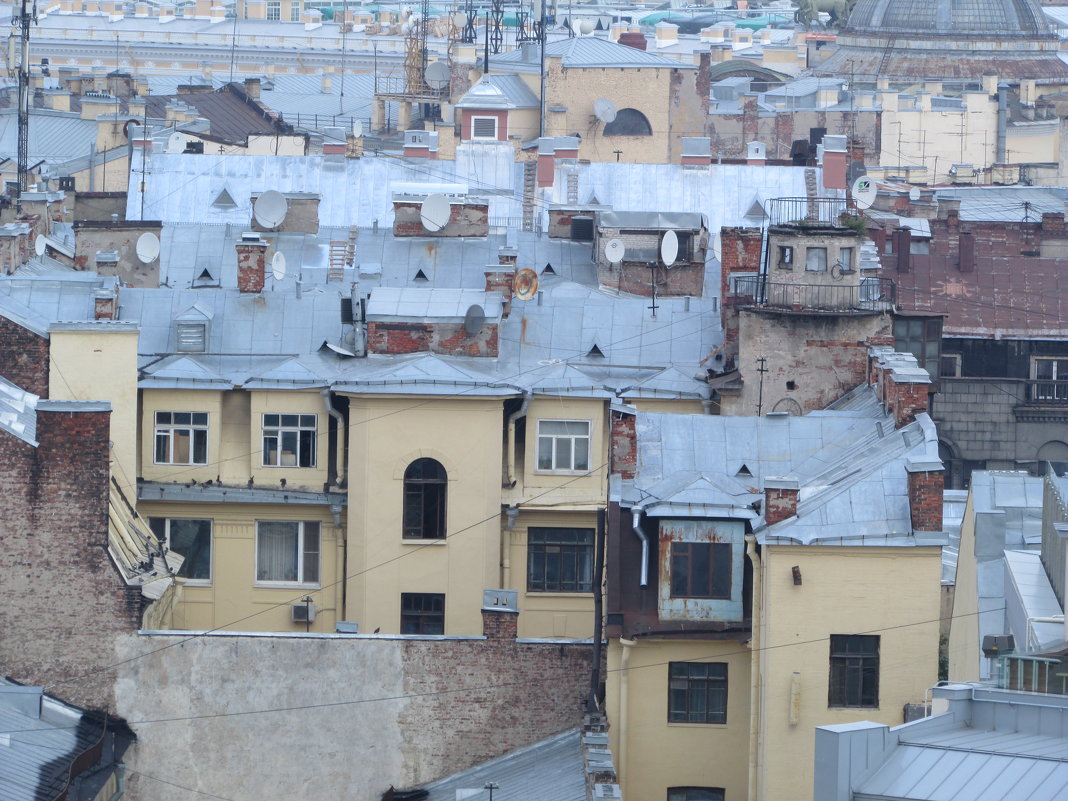 Питерские крыши - Дмитрий 