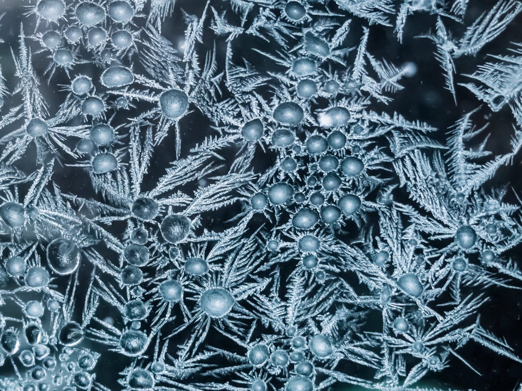 Рисует узоры мороз на оконном стекле   Серия 1 - Николай Сапегин