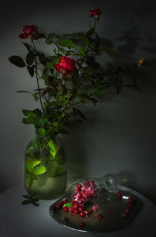 Зимние розы и мороженая вишня. - Наталья S