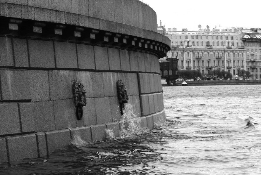 Недовольные львы. Наводнение в Санкт-Петербурге - Вера Моисеева