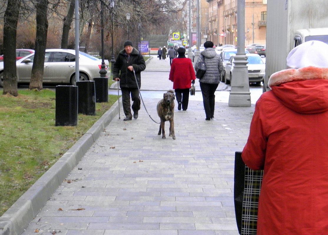 Декабрь в Москве... - Елена 