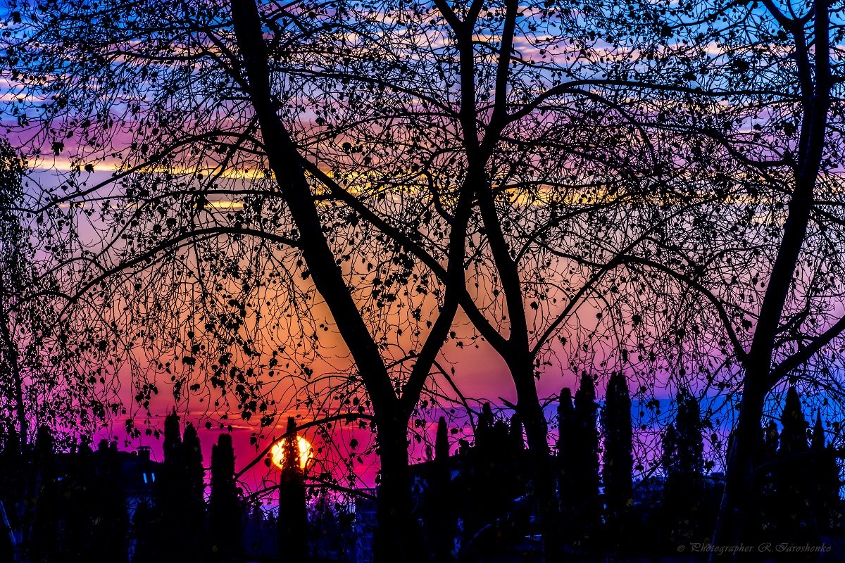 Декабрьский закат в Сочи - Руслан Ярошенко
