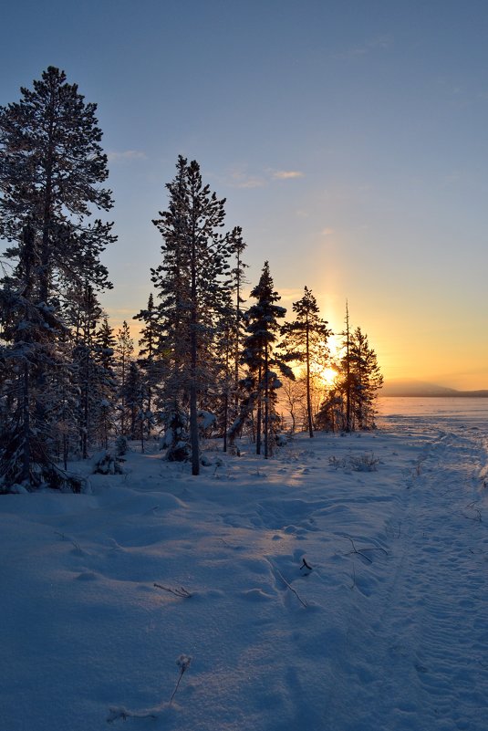 Зима у озера - Ольга 