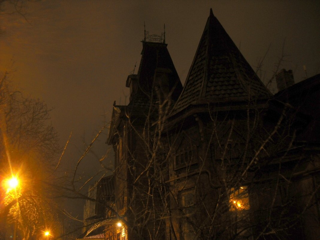 Ночной дом-замок из дерева в Чернигове - Денис Бугров 