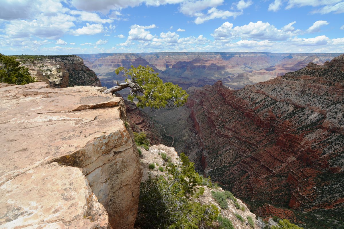 Grand Canyon National Park. - Галина 