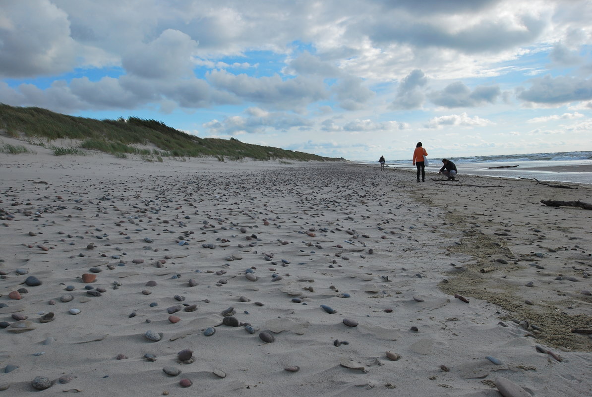 Берег Балтийского моря - Inessa ---