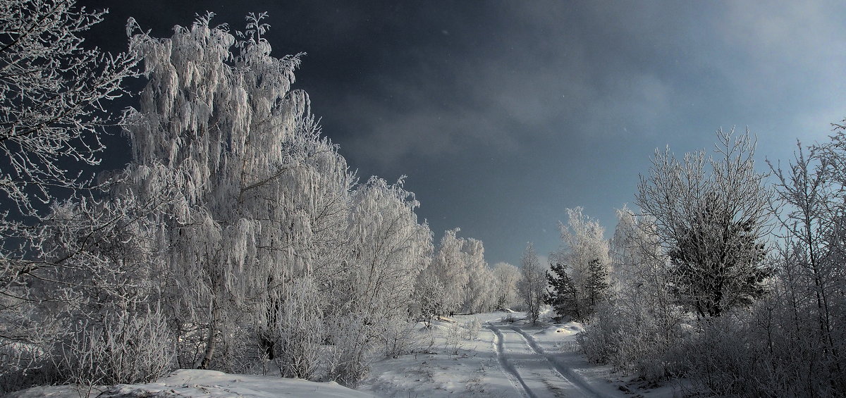 По снежной дороге в морозную даль,скорей от всего городского... - Александр Попов