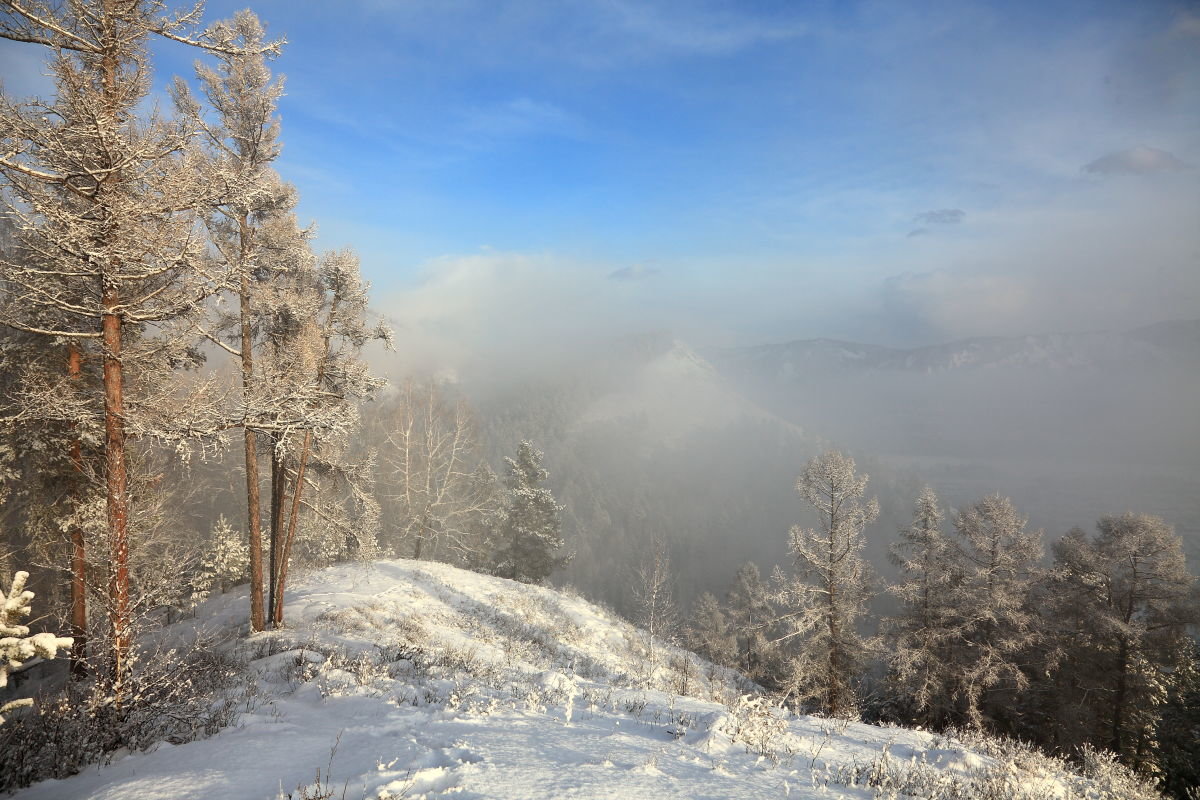 *** - Николай Елисеев