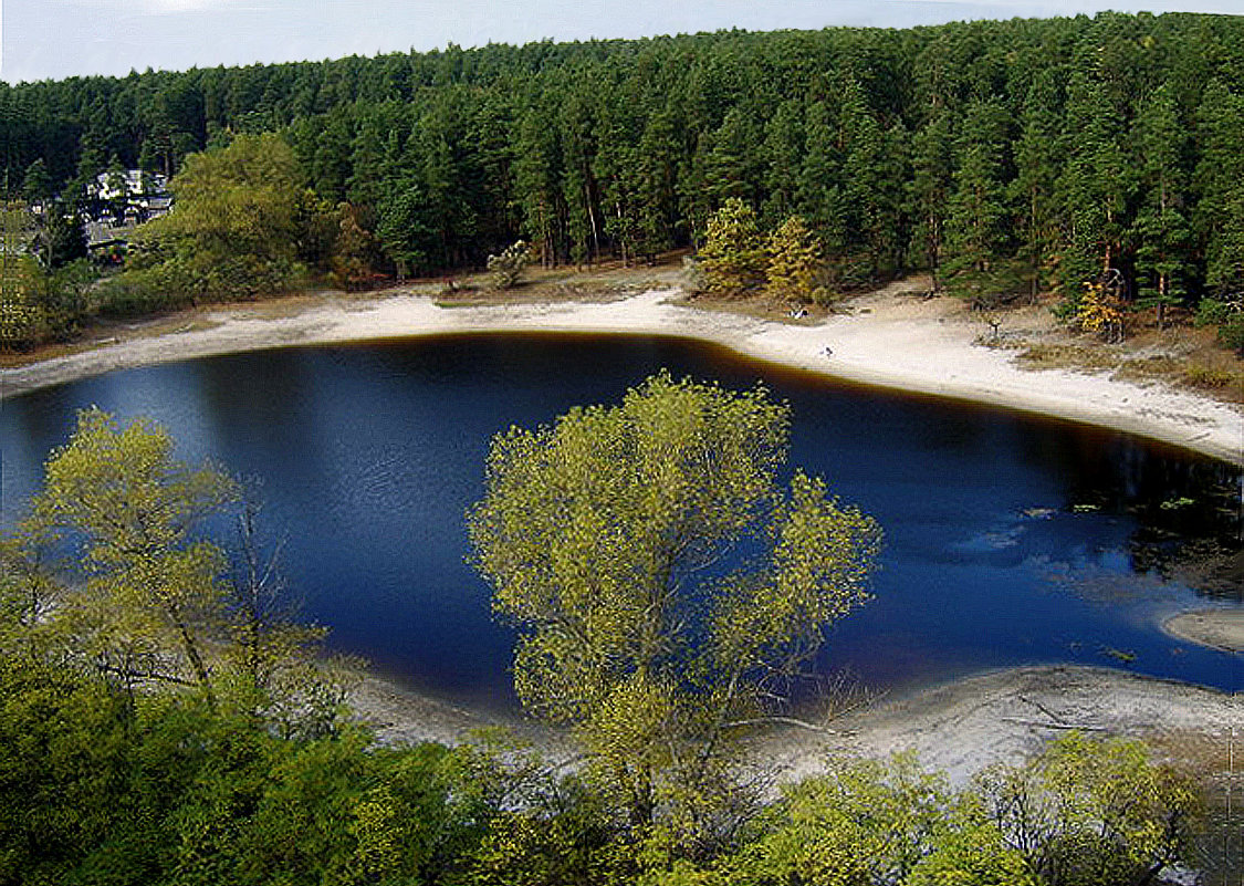 Лесные  озера  российского  Черноземья - Игорь Пляскин