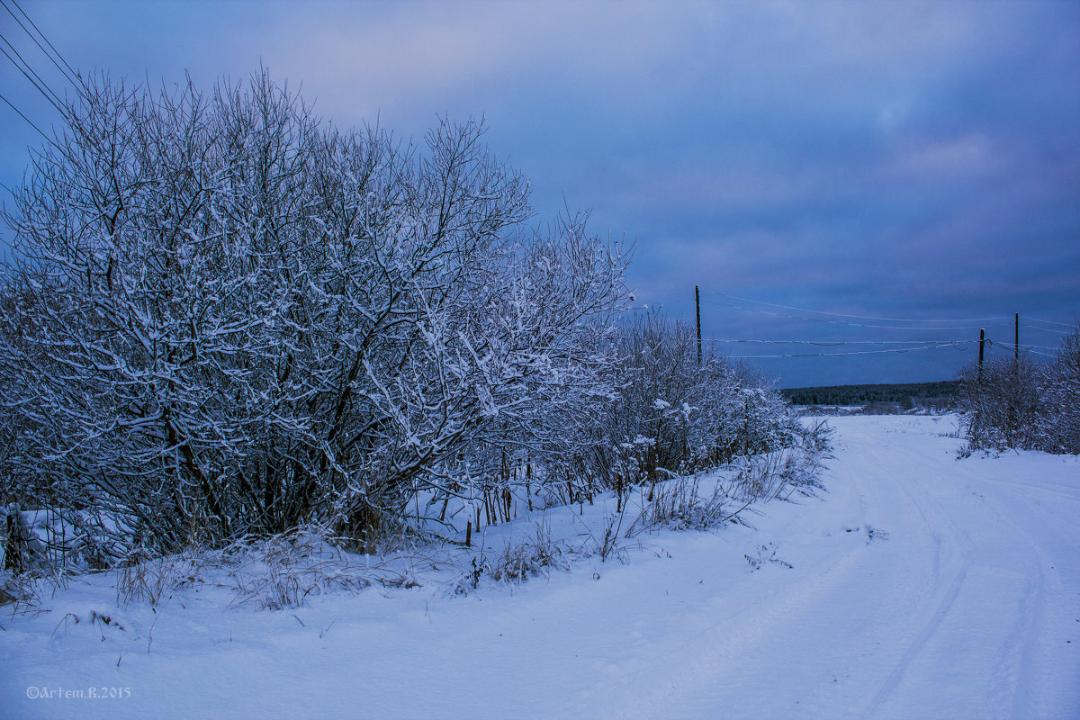 По дороге снежным днем...2015 - Артём Бояринцев