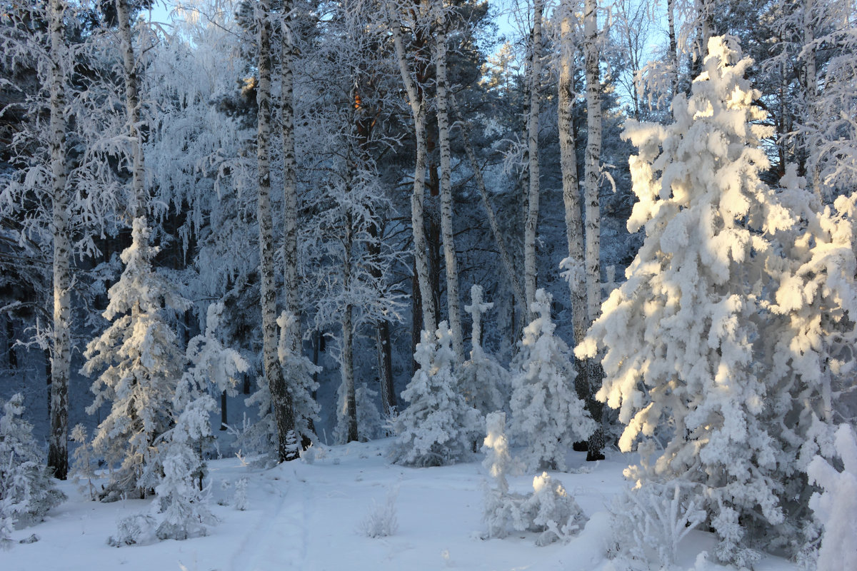 Снежное - Мария Кухта