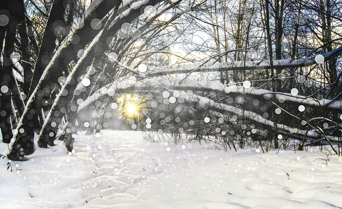 Мороз и солнце - Сергей Добрыднев