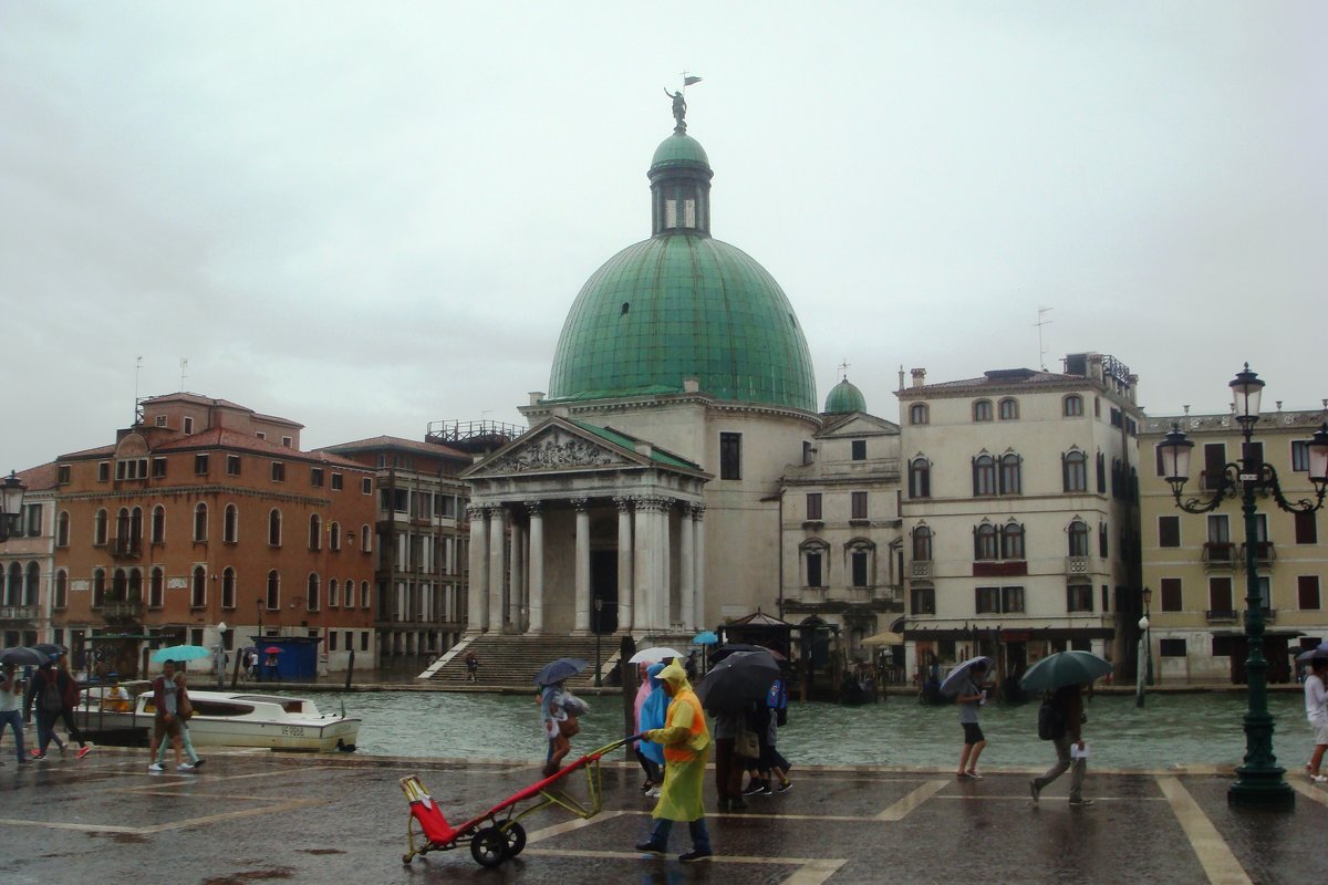Дождь в Венеции - Плюшевая Пальма