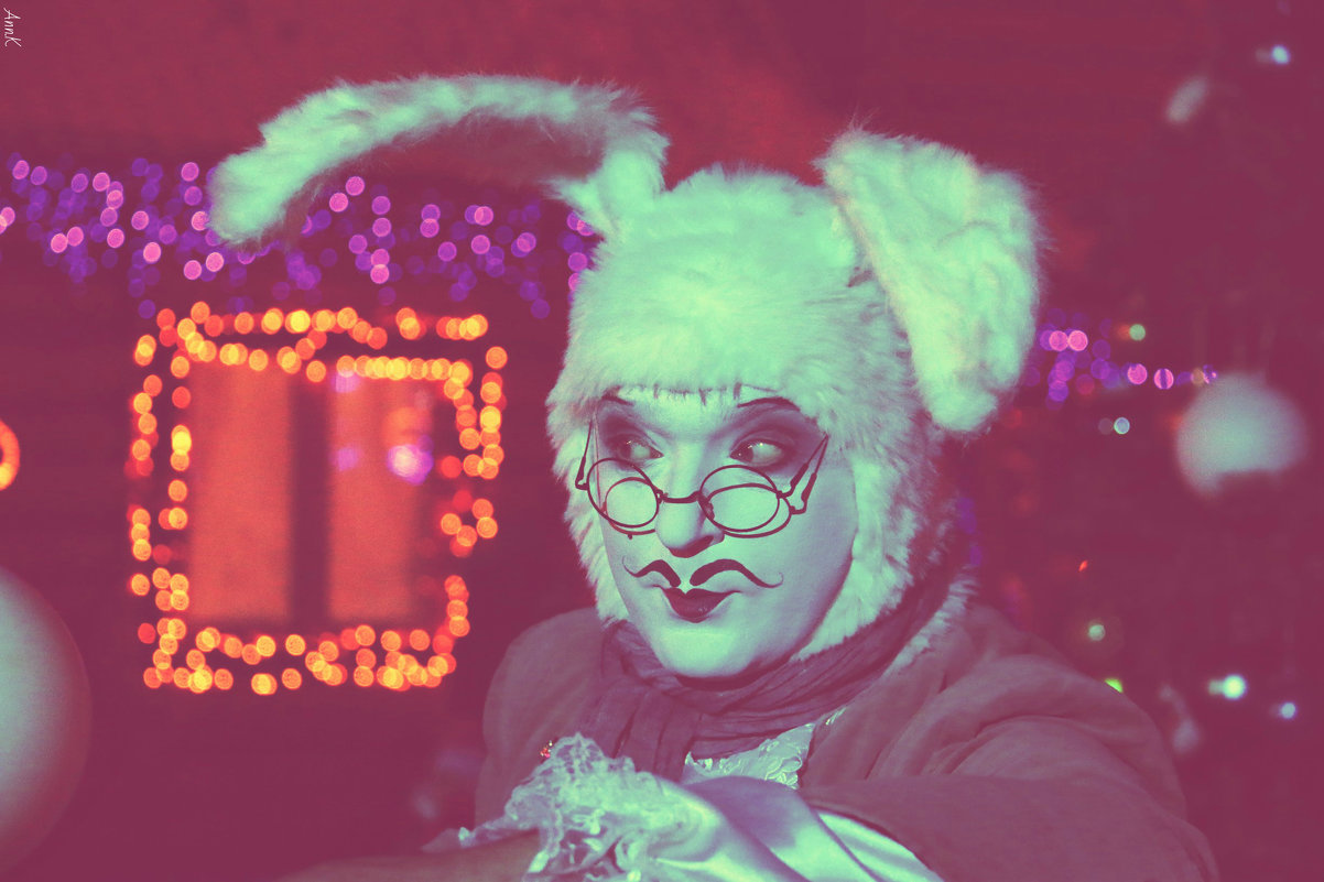 New Year rabbit. - Anna Kalganova 