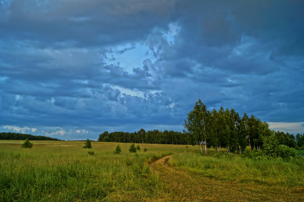 Перед грозой - Светлана 