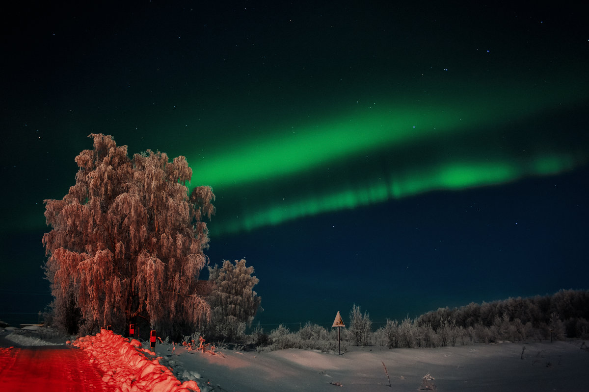 northern lights - Aleksandr Tishkov