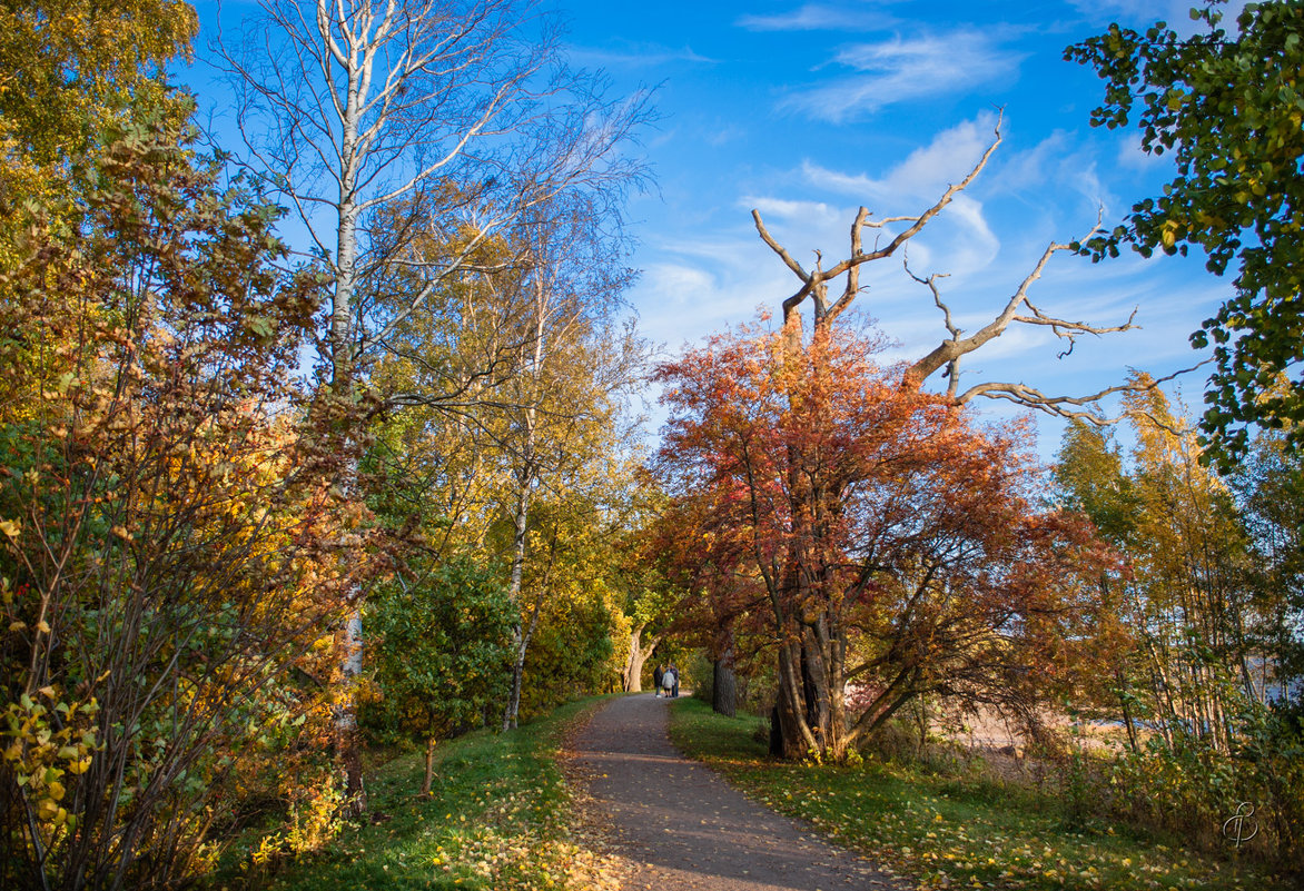 Осень в парке - Виталий 