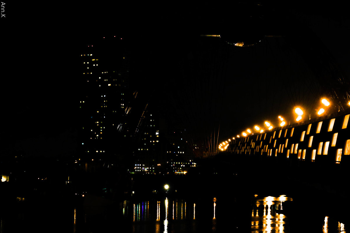 Живописный мост. Ночь. - Anna Kalganova 