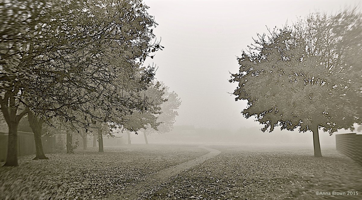 Туман - Анна Браун 