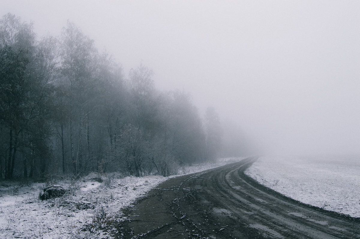 Дорога в тумане - Игорь Пименов