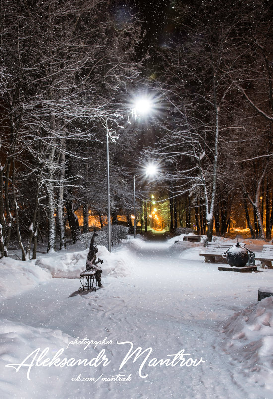 Зимняя ночная алея - Александр Мантров