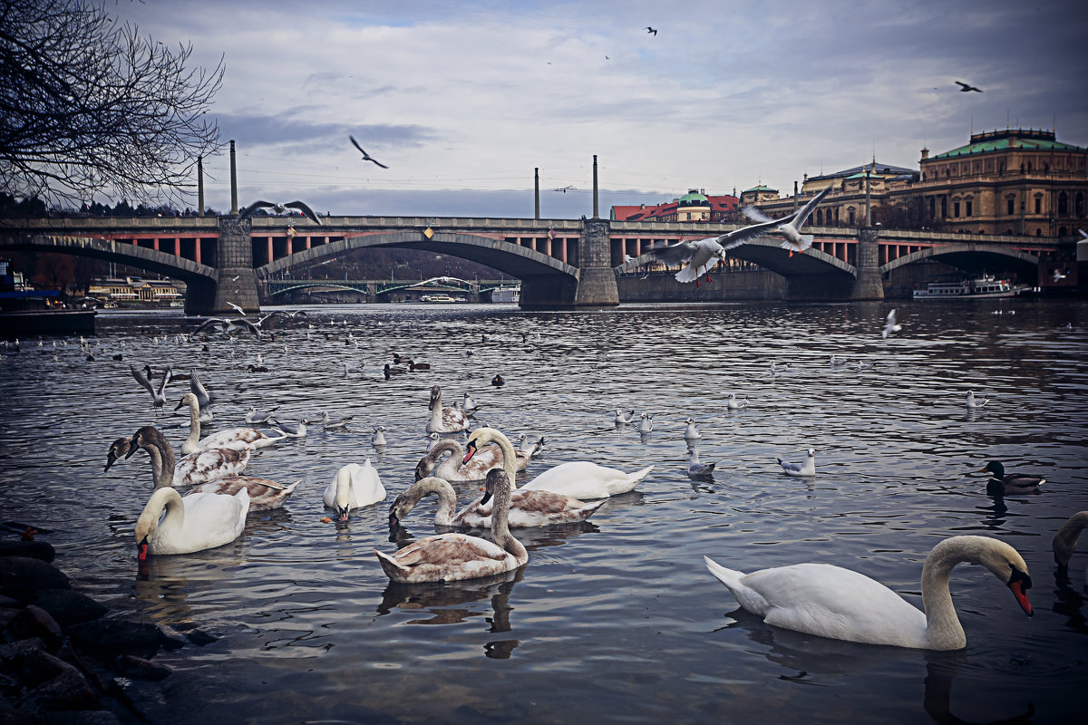 http://vk.com/foto_kostya_korol_minsk - Константин Король