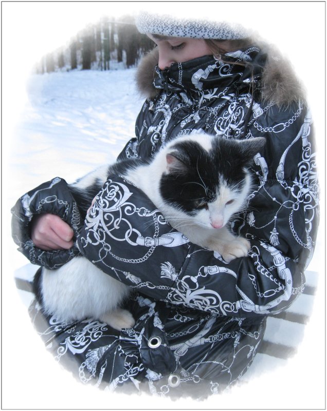 Кошке холодно зимой - я возьму её домой... - muh5257 