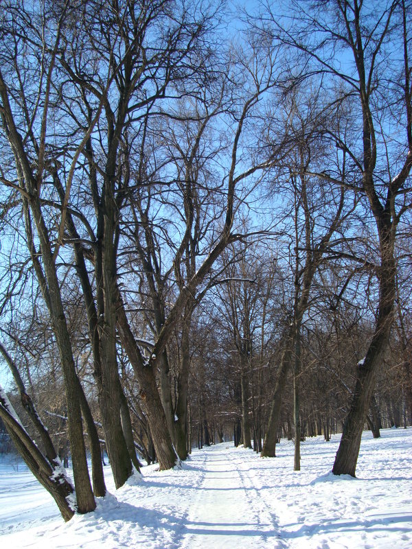 Найти это место на соседних фото - Андрей Лукьянов