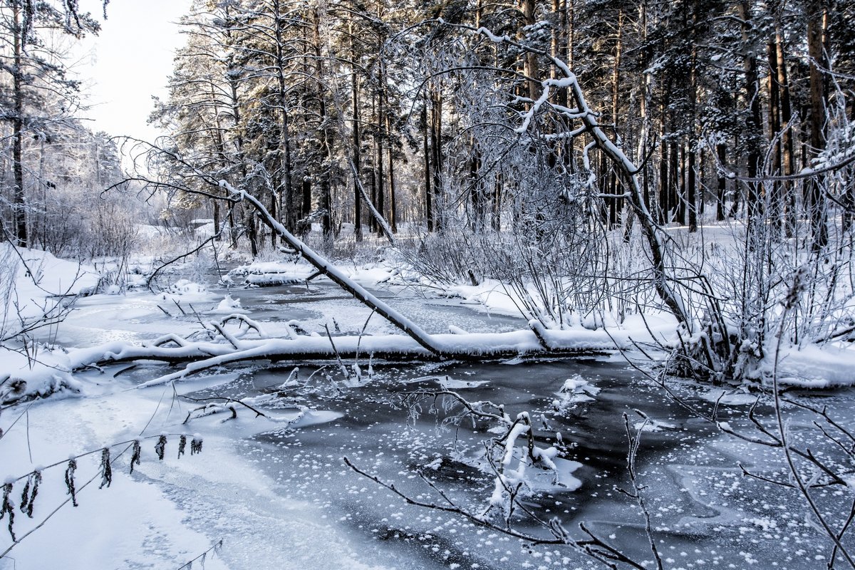 frozen river - Dmitry Ozersky