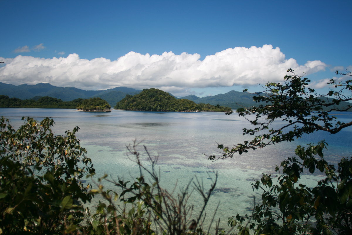 Папуа Новая Гвинея.Природа - Антонина 